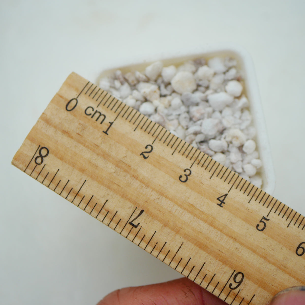 10x 3cm Life Time Professional White Plastic Pots with drain holes image 4