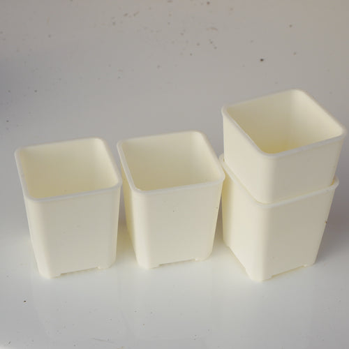 10x 3cm Life Time Professional White Plastic Pots with drain holes image 0